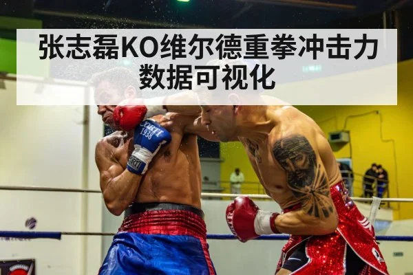 张志磊KO维尔德重拳冲击力数据可视化