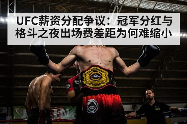 UFC薪资分配争议:冠军分红与格斗之夜出场费差距为何难缩小