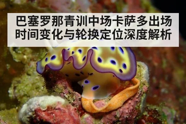 巴塞罗那青训中场卡萨多出场时间变化与轮换定位深度解析