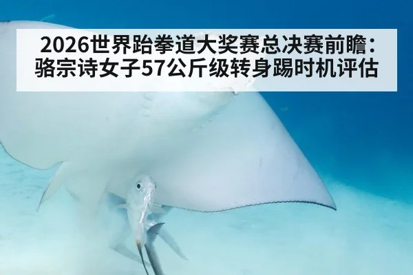 2026世界跆拳道大奖赛总决赛前瞻:骆宗诗女子57公斤级转身踢时机评估 | yabo